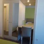 Navegadores 4*